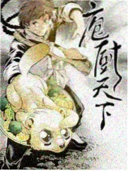 海贼王 卡牌 对战